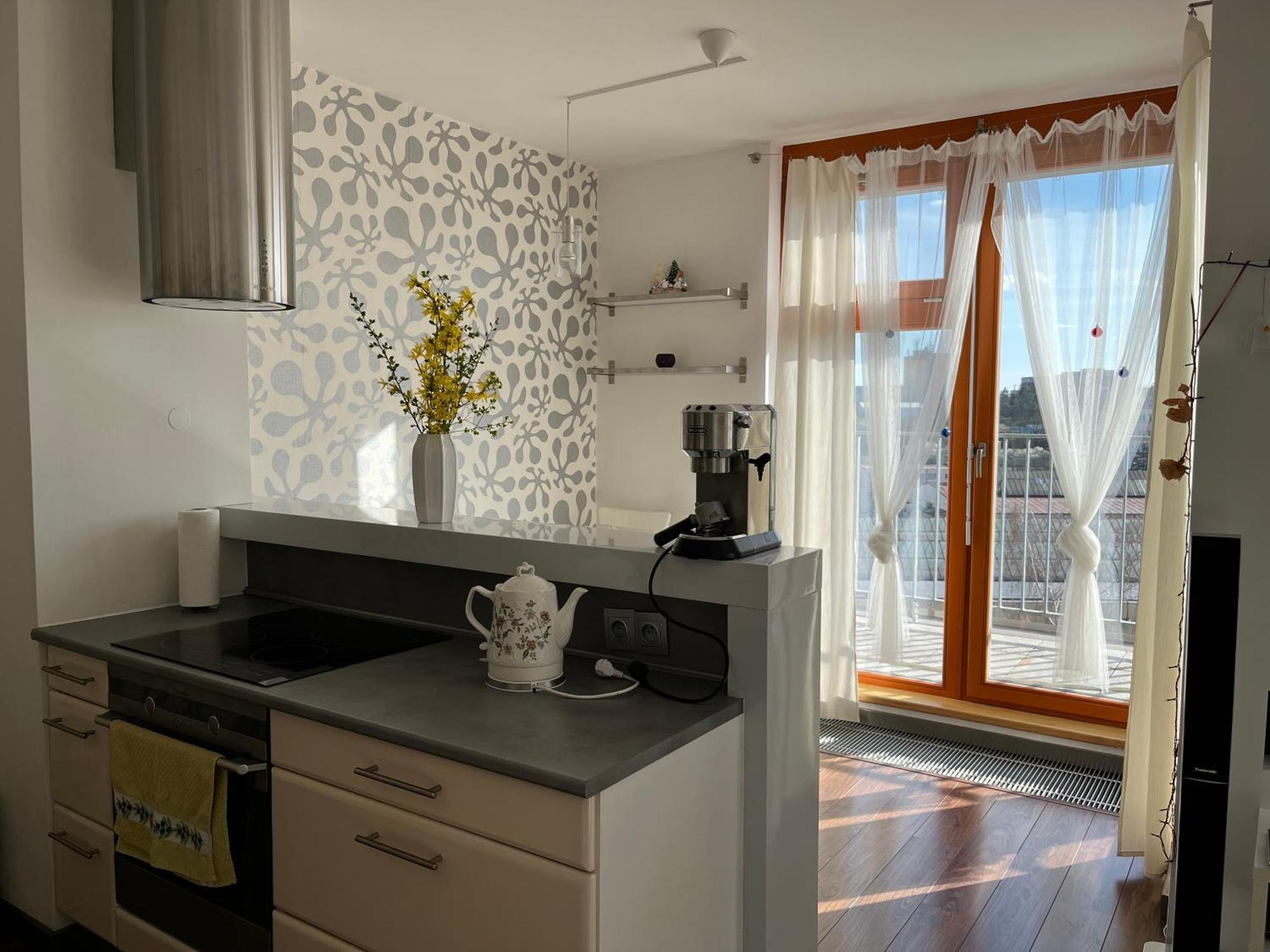 Rooftop Apartment With Pergola And Parking Πράγα Εξωτερικό φωτογραφία
